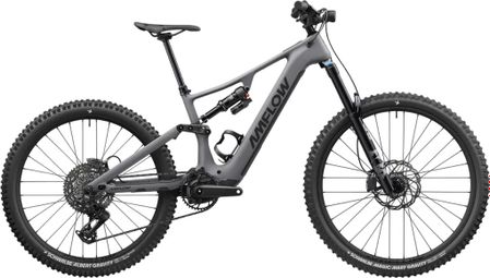 Amflow PR Carbon Pro 12 V 800 Wh DJI 150 Nm 29''/27,5'' grijs 2026 elektrische mountainbike met volledige vering