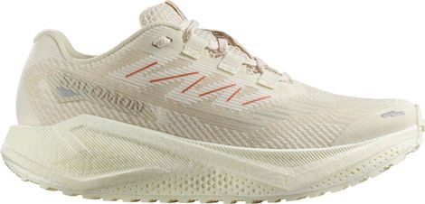 Chaussures Running Salomon Aero Blaze 3 GRVL Beige Femme
