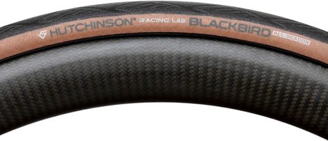 Pneu Route Hutchinson Blackbird Allseason Racing Lab 700 mm Tubeless Ready Gridskin MachTread 3.0 Tan — vue 3