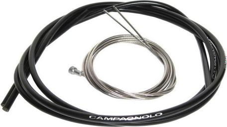 Câble et gaine pour levier de frein tt Campagnolo bar-end