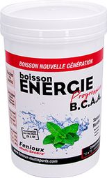 Fenioux Bebida Energética Progresiva B.C.A.A - Menta - 600 g