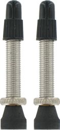 VAR Kit 2 Tubeless Ventile 35mm Silber