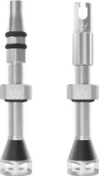 Peaty's Holeshot Fast Flow Tubeless Valves Silver