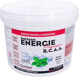 Fenioux Bebida Energética de Rendimiento Progresivo B.C.A.A - Menta - 1,5 kg