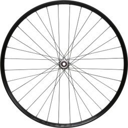 Roue Avant Hope Fortus 35W Pro 5 29'' | Boost 15x110 mm | CenterLock | Argent