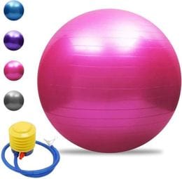 Balle de yoga Balle d'équilibre Pilates Barre de gymnastique physique Balle d'exercice physique 45 cm Rose
