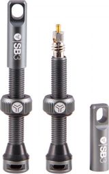  Kroma SB3 Tubeless Presta Valves, Gray