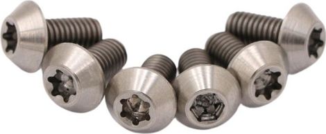 Pride Racing T25 Titanium Silver Disc Screws