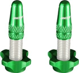 Ice Kit of aluminium plugs (x2) and nuts (x2) Airflow Green