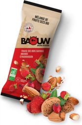 Baouw Organic Dried Fruit Mix Strawberry/Amond/Roseberry 30g