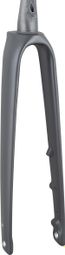 Fourche Rigide Trek Domane SLR 2023 Carbon Smoke