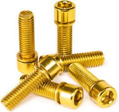 Salt Solid Stem Screw M8x25mm Gold (6 Units)