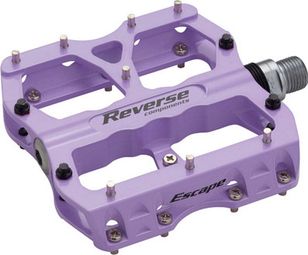 Paar Flat Esc Escale Lilas