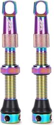 Paire de valves tubeless Presta 40 mm Multicolores