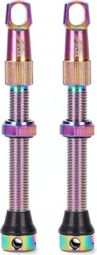 Paire de valves tubeless Presta 53 mm Multicolores