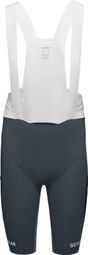 Gore-Wear Spingshift Cargo Bib shorts Grey Men's