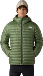 The North Face Terra Peak Herren Kapuzenjacke Grün