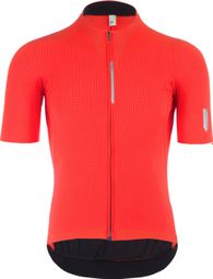 Maillot de manga corta Q36.5 Pinstripe PRO Rojo