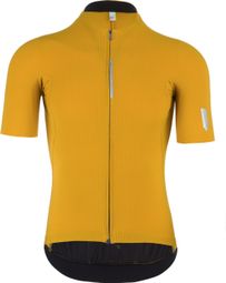 Maillot de manga corta Q36.5 Pinstripe PRO Amarillo