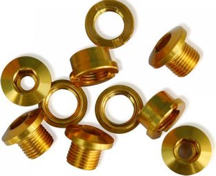 ICE Set of 5 Chainring bolt R-BOLT 6.5 mm Gold