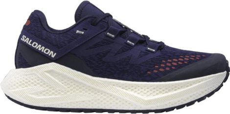 Chaussures Running Salomon Aero Glide 3 GRVL Bleu Femme