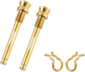 Vis étrier de frein à disque – Doré – 2 pièces + clips