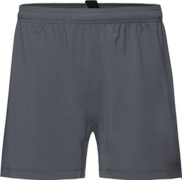 Gore-Wear Concurve 5' Shorts Grey Men's