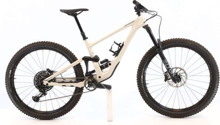 Produit reconditionné · Specialized Enduro Elite 29 GX / Vélo VTT | Très bon état