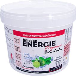  Boisson Fenioux Performance Progressive BCAA citron/menthe 1.5 kg