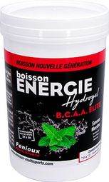  Boisson Fenioux Multi-Sports Energie Progressive Saveur Menthe Pot de 600 g