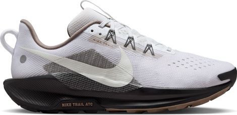 Chaussures Trail Nike Pegasus Trail 5 Gris/Noir Homme