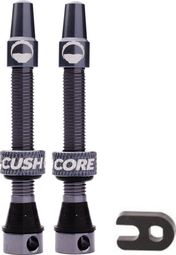 CushCore Tubeless ventielen 55 mm Grijs Titanium