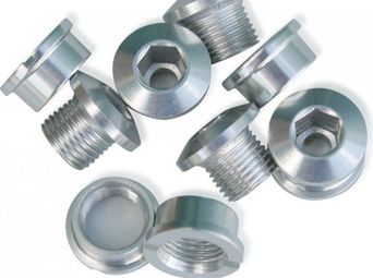 ICE Set von 5 Kettenblattschrauben R-BOLT 6,5 mm Silber