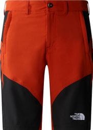 The North Face Beshtor Orange Shorts