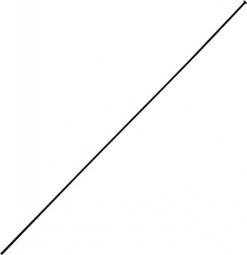 RAYON INOX NOIR TETE DROITE DT SWISS COMPETITION 2-1.8-2mm L 302mm SANS ECROU (UNITE)