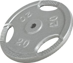 Disques en fonte avec poignées  - 31 mm - Gris - De 0 5 KG à 20 KG - Poids : 20 KG