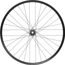 Roue Arrière Hope Fortus 35W Pro 5 29'' | Boost 12x148 mm | 6 Trous | Argent