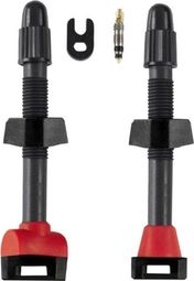 Paire de valve de pneu tubeless P2R Presta
