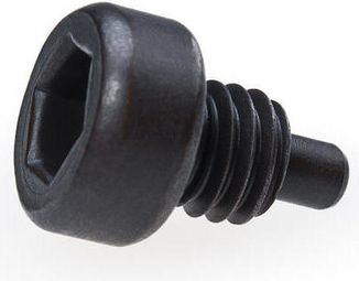 Park Tool Ersatzstift für Ergot Wrench SPA-6 / Cup Wrench HCW-4
