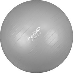 Avento Ballon de fitness/d'exercice Diamètre 55 cm Argenté