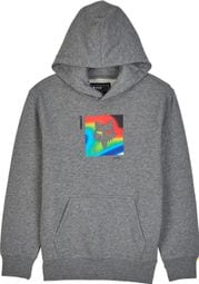 Scans Pullover Hoody Child Grey