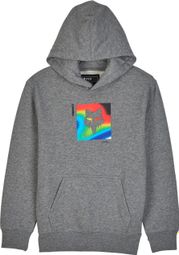 Sweat à capuche Scans Pullover Enfant Gris