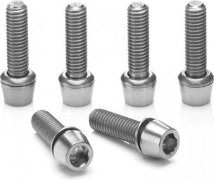 Ritchey Titanium Stem Bolt Set Silver (6 viti)