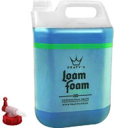 Limpiador Concentrado LoamFoam de Turba 5 L