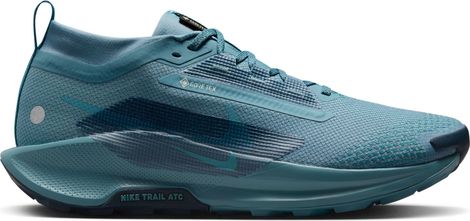 Trail Shoes Nike Pegasus Trail 5 GTX Bleu Homme