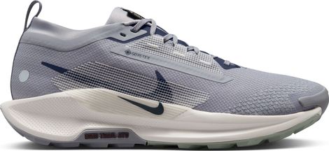 Nike Pegasus Trail 5 GTX Trailschuh Grau Herren