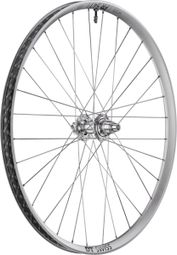 Roue Arrière DT Swiss FR 1500 30 29'' | Boost 12x148 mm | 6 Trous Limited Edition Argent