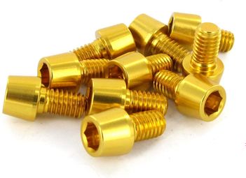 MSC Kit 10 viti M6 x 10 mm Alu 7075T6 Now