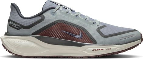 Nike Pegasus 41 GTX Laufschuh Grau/Blau für Männer