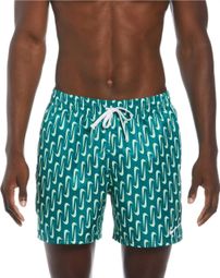 Short de Bain Nike Swoosh Vert